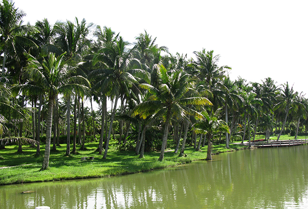 只有創(chuàng)新產(chǎn)品，才能占據(jù)市場(chǎng)主導(dǎo)地位